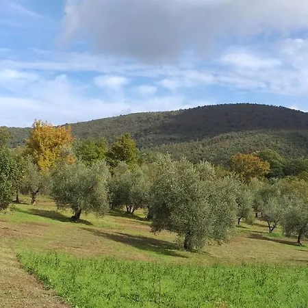 Umbria Poggio Le Stalle Casa vacanze Collicello